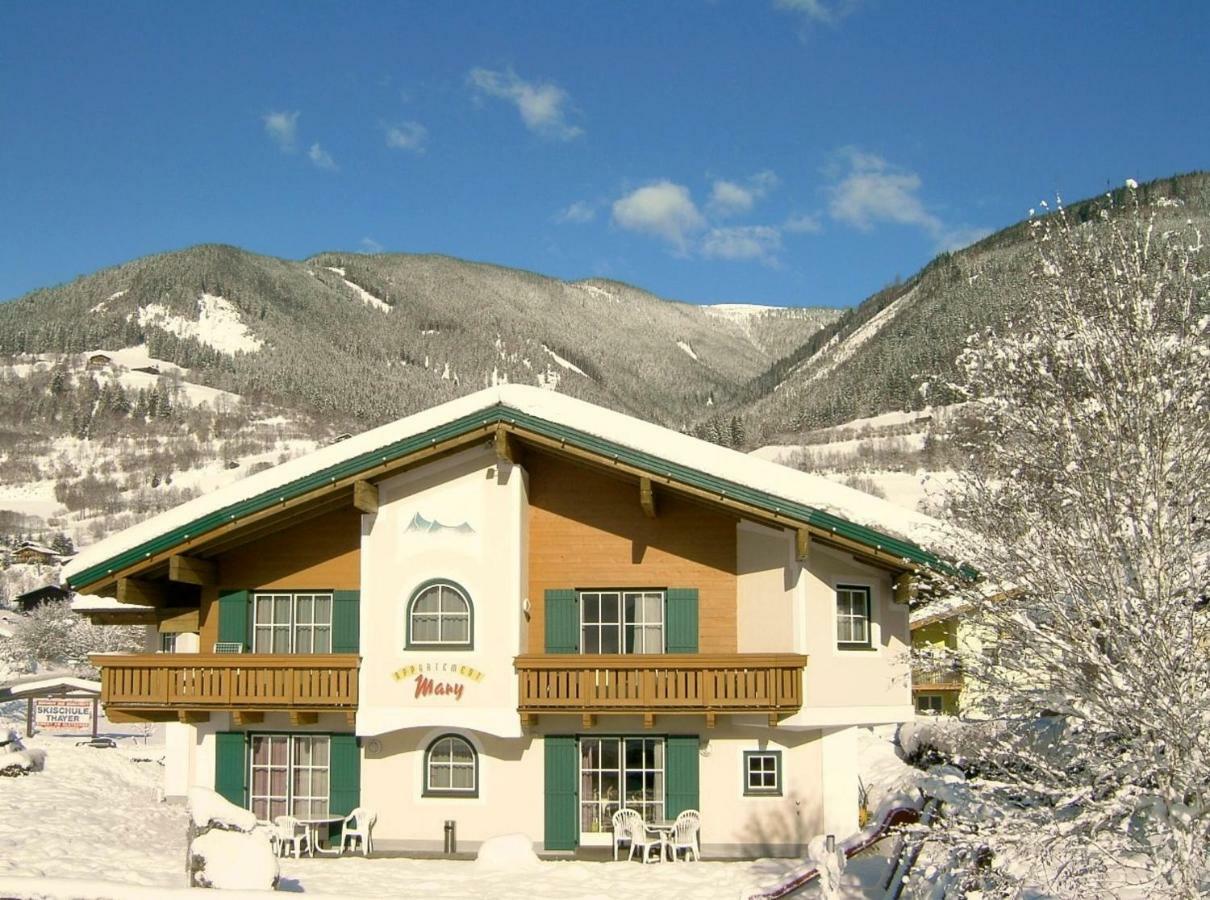 Appartements Mary Inklusive Tauern-Spa קפרון מראה חיצוני תמונה